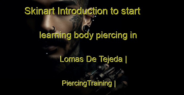 Skinart Introduction to start learning body piercing in Lomas De Tejeda | PiercingTraining | PiercingClasses | SkinartTraining-Mexico
